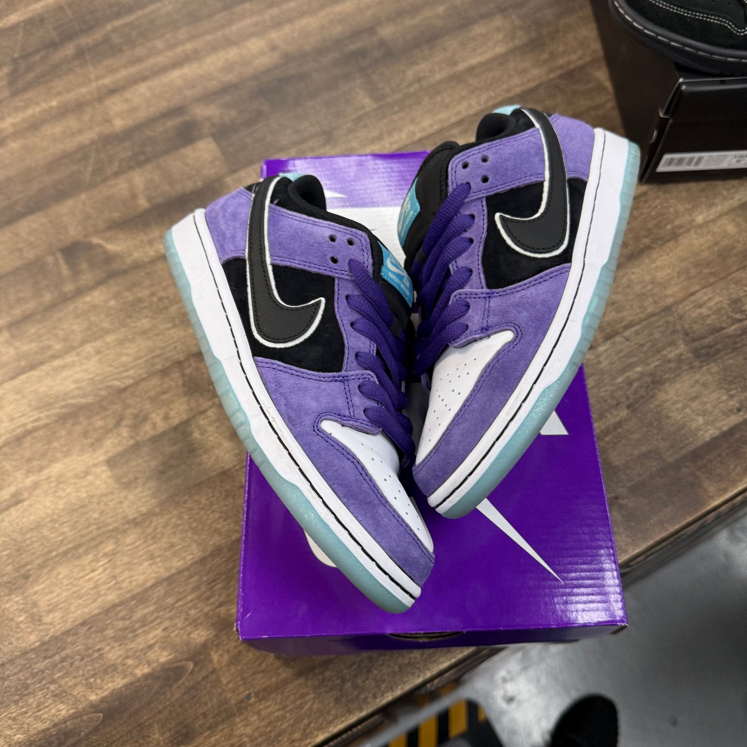 Hayley Wilson Nike SB Dunk Low (USED)