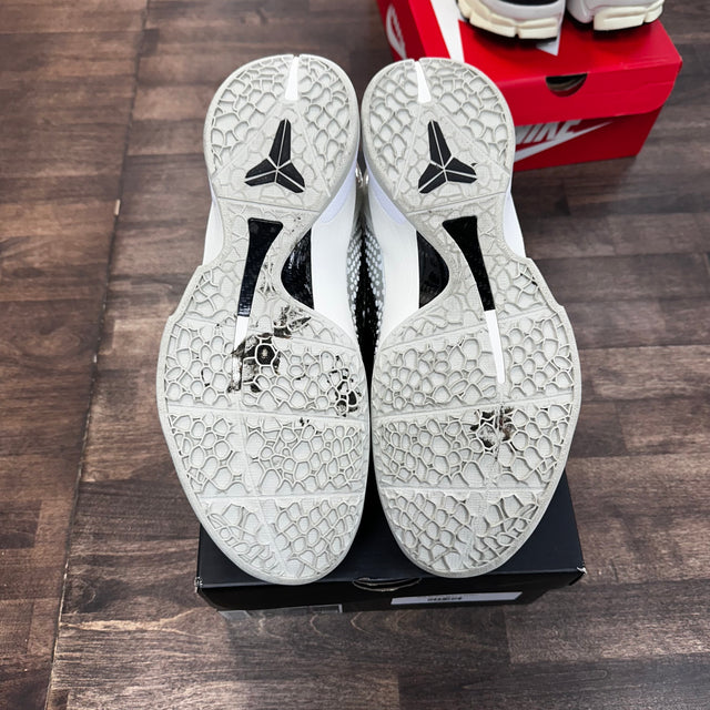All Star Kobe 6 Protro (USED)