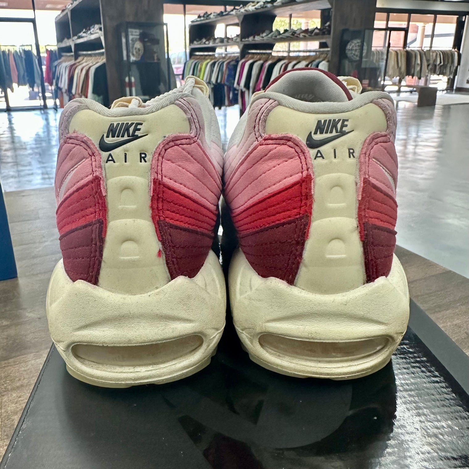 Anatomy Air Max 95 (USED)