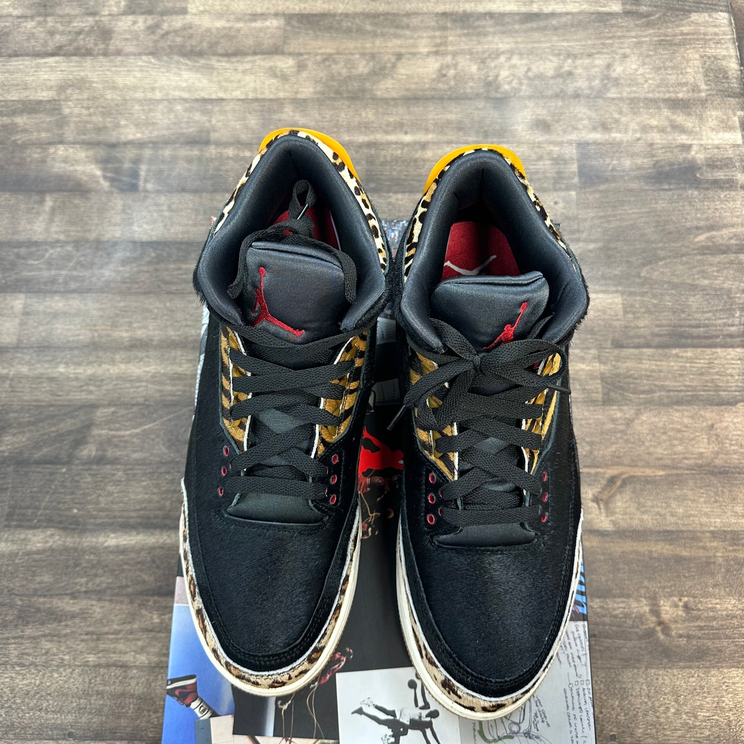 Animal Instinct Jordan 3 Retro SE (USED)