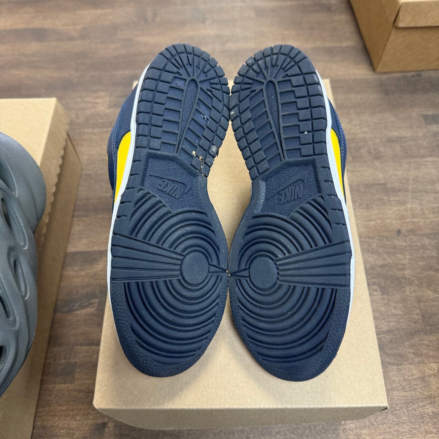 Michigan Dunk Low (Used, No Box)