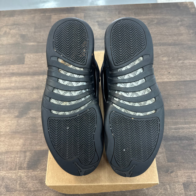 Winter Black Jordan 12 (USED, No Box)