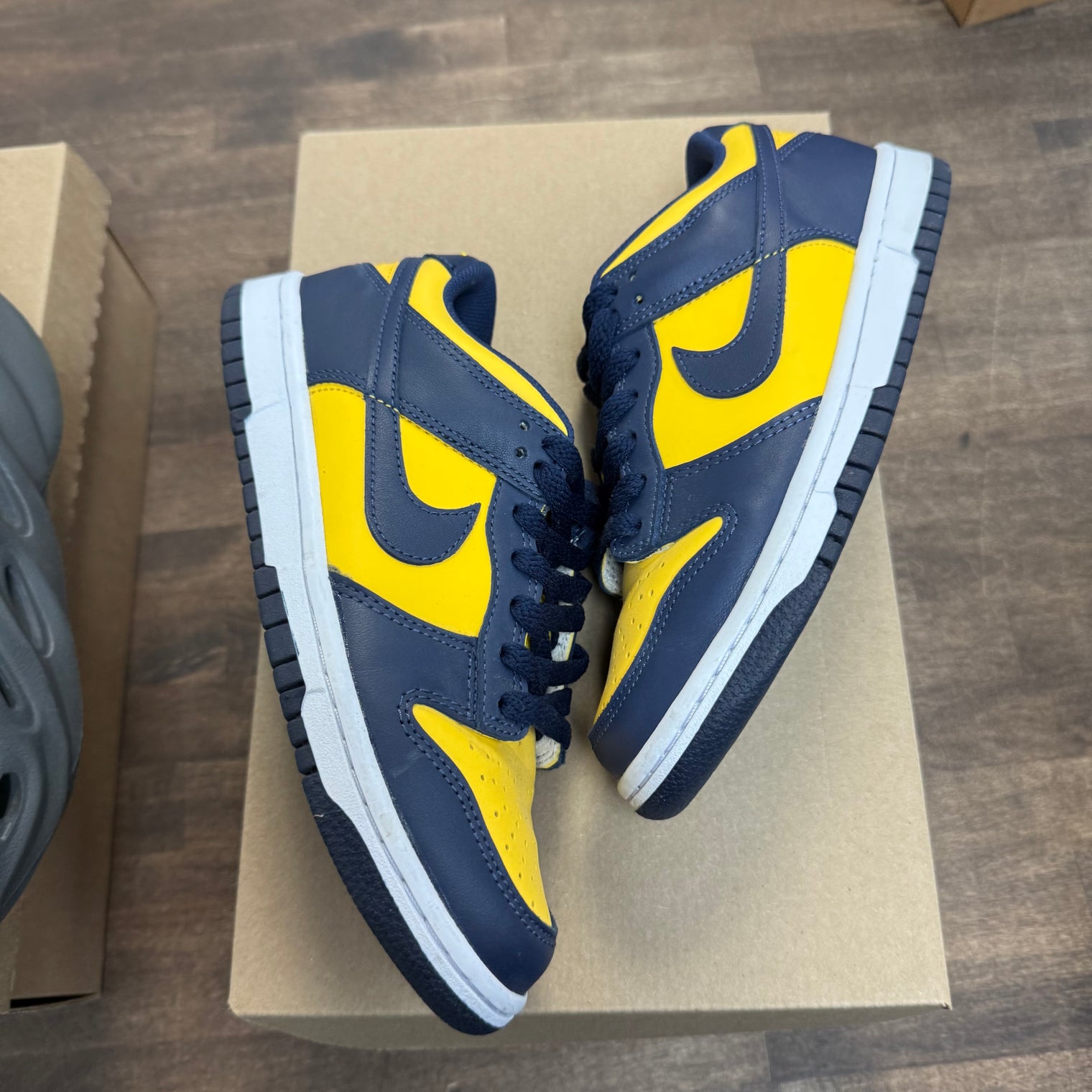 Michigan Dunk Low (Used, No Box)