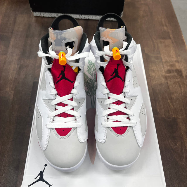 Hare Jordan 6 (USED)