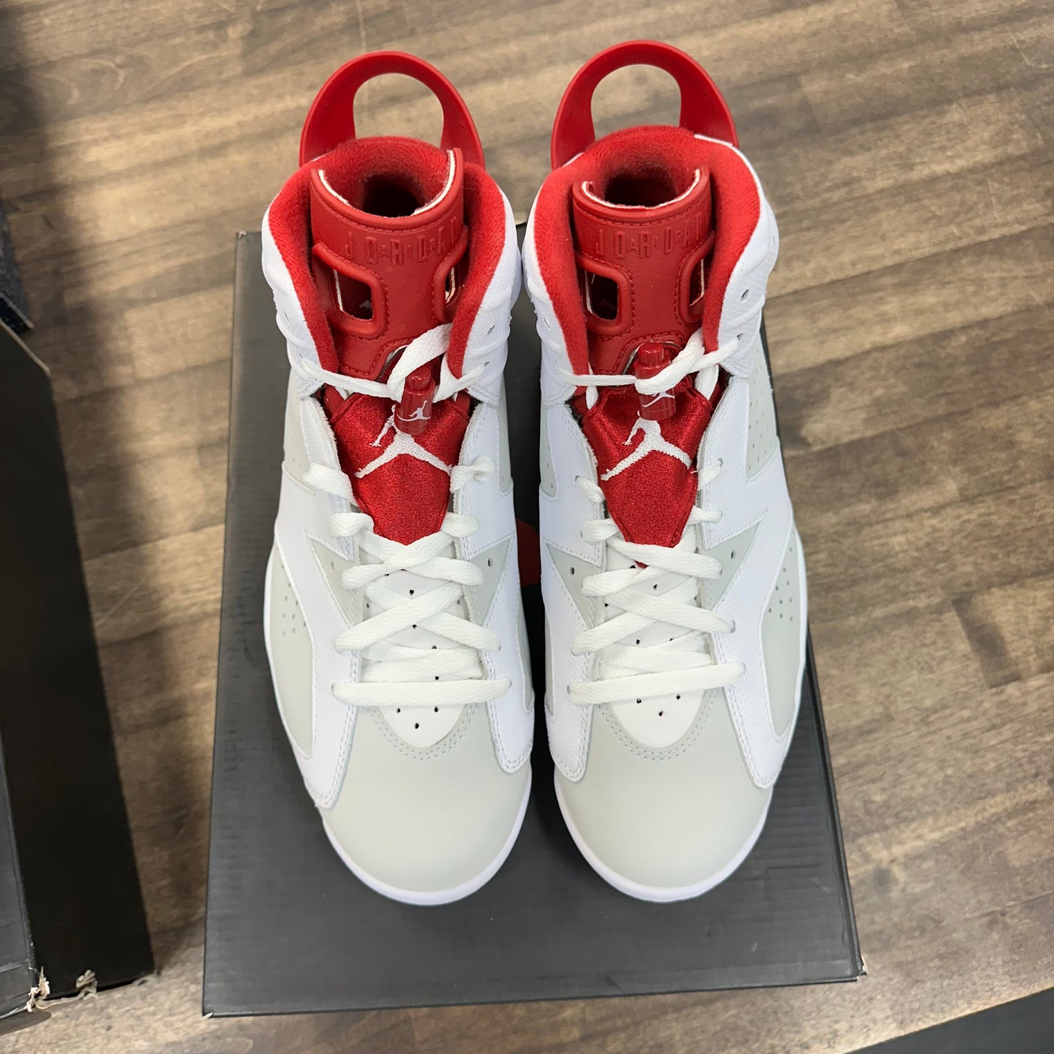 Hare Jordan 6 Retro (Used)