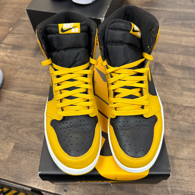 Pollen Jordan 1 High (USED)