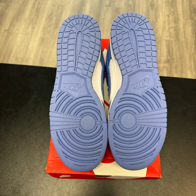 Polar Blue Dunk Low (USED)