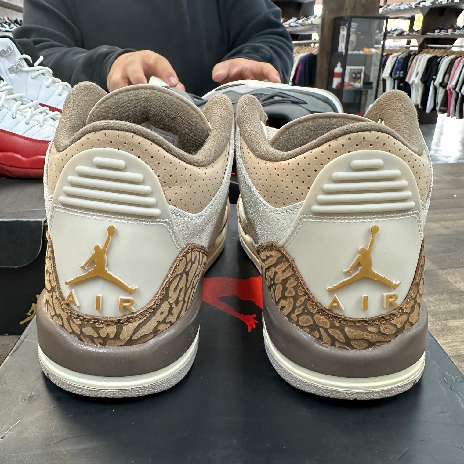 Palomino Jordan 3 Retro (GS) (USED)