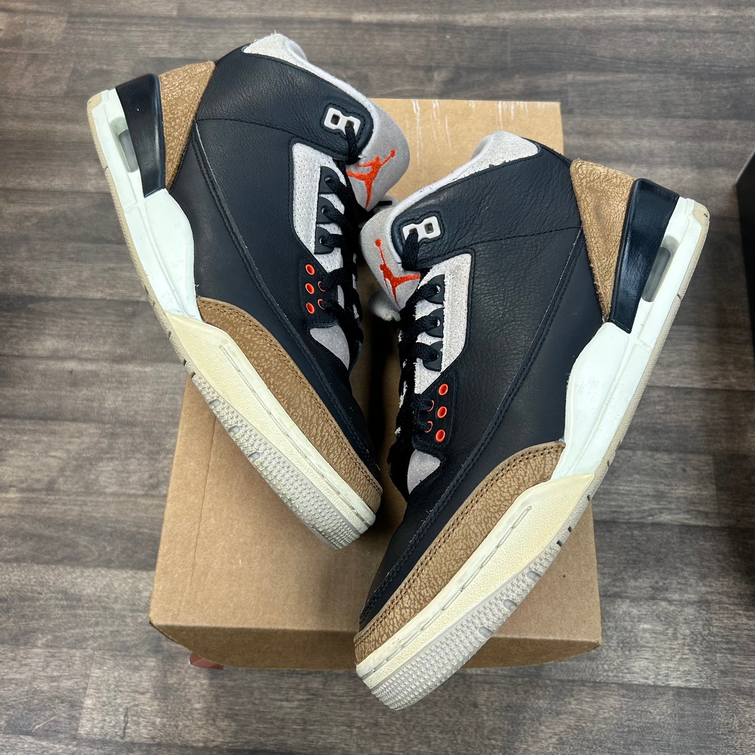 Desert Elephant Jordan 3 (Used, No Box)