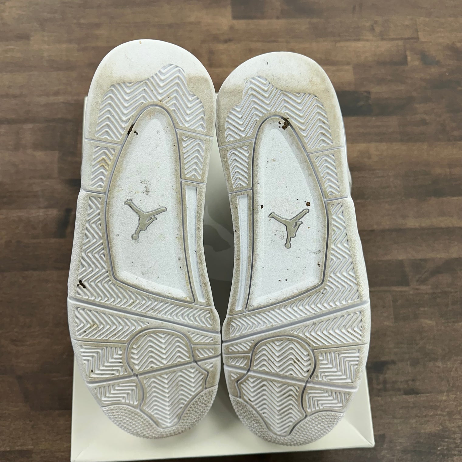 Pinnacle Snakeskin Jordan 4 Retro (USED)