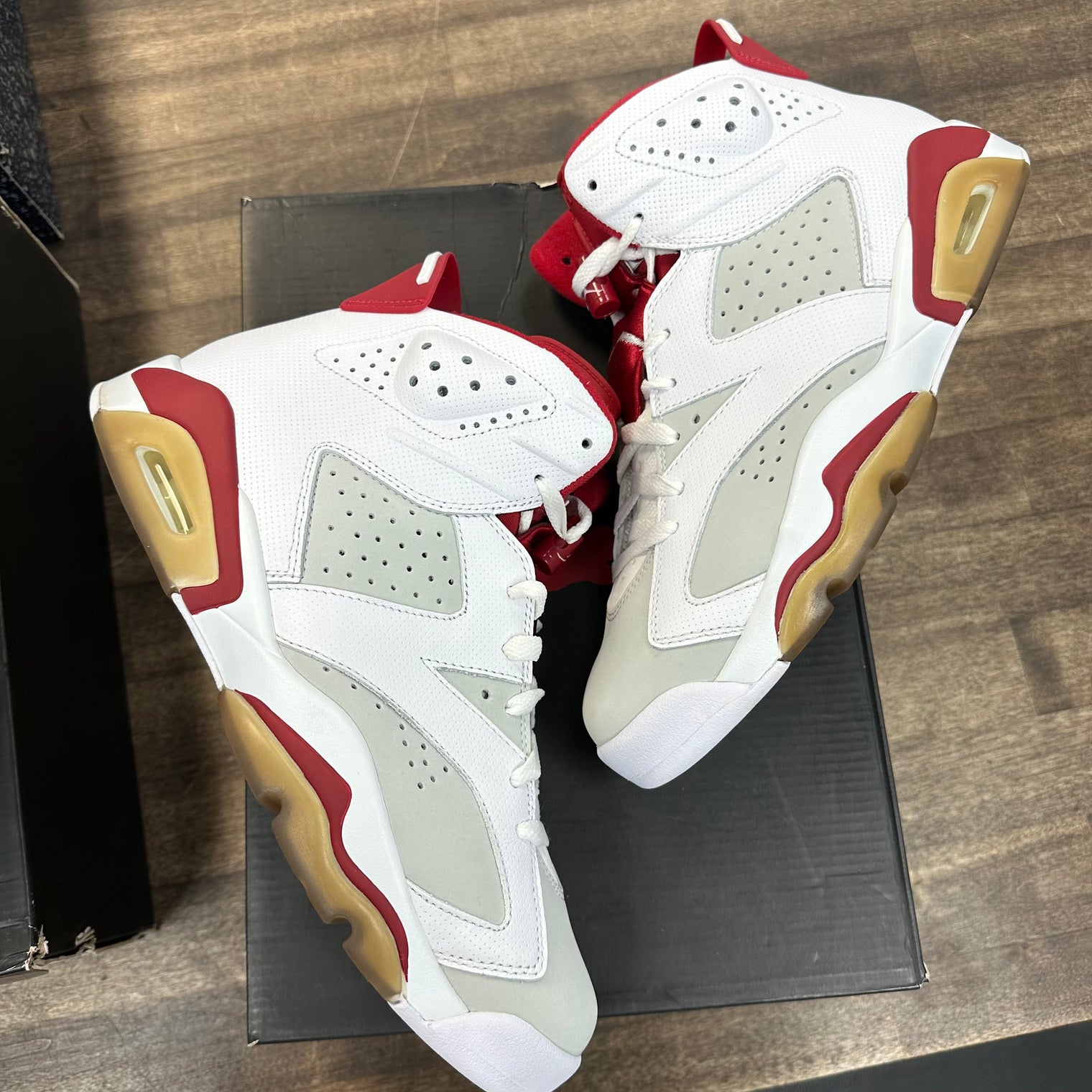 Hare Jordan 6 Retro (Used)