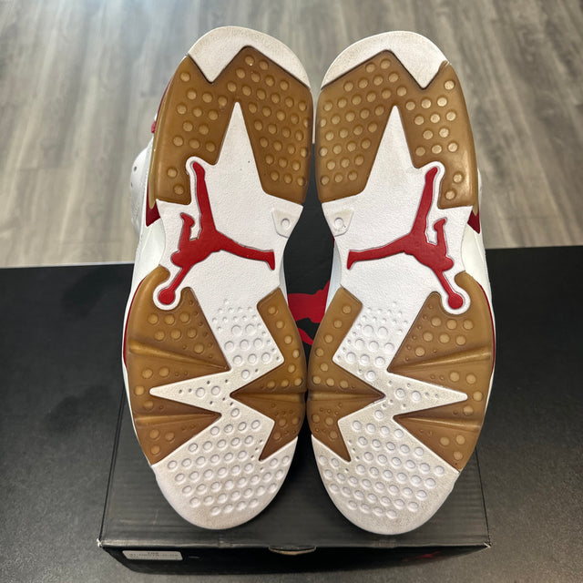 Alternate Hare Jordan 6 (USED)