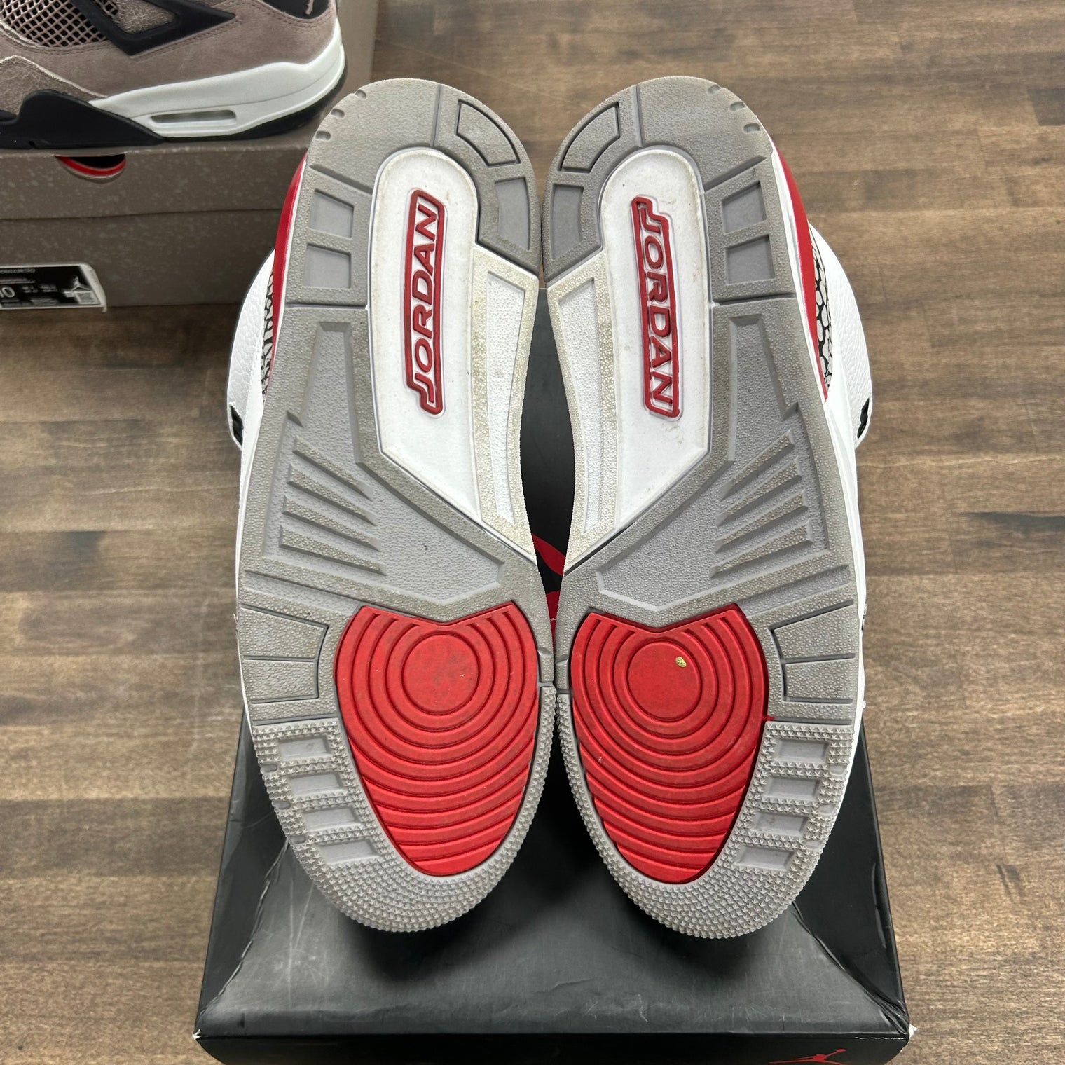 Hall of Fame Jordan 3 Retro (Lightly Worn)