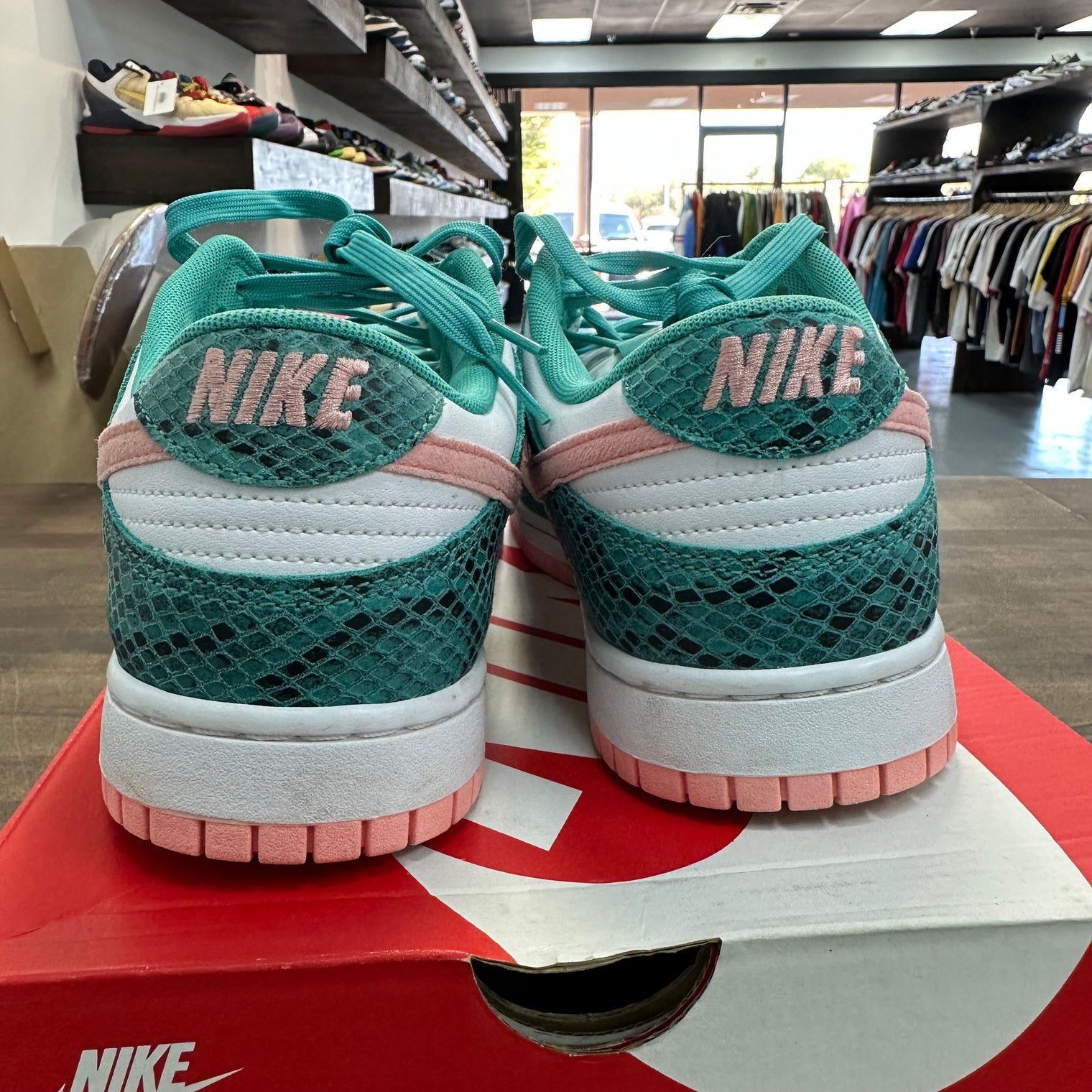 Snakeskin Washed Teal Bleached Coral Nike Dunk Low (USED)