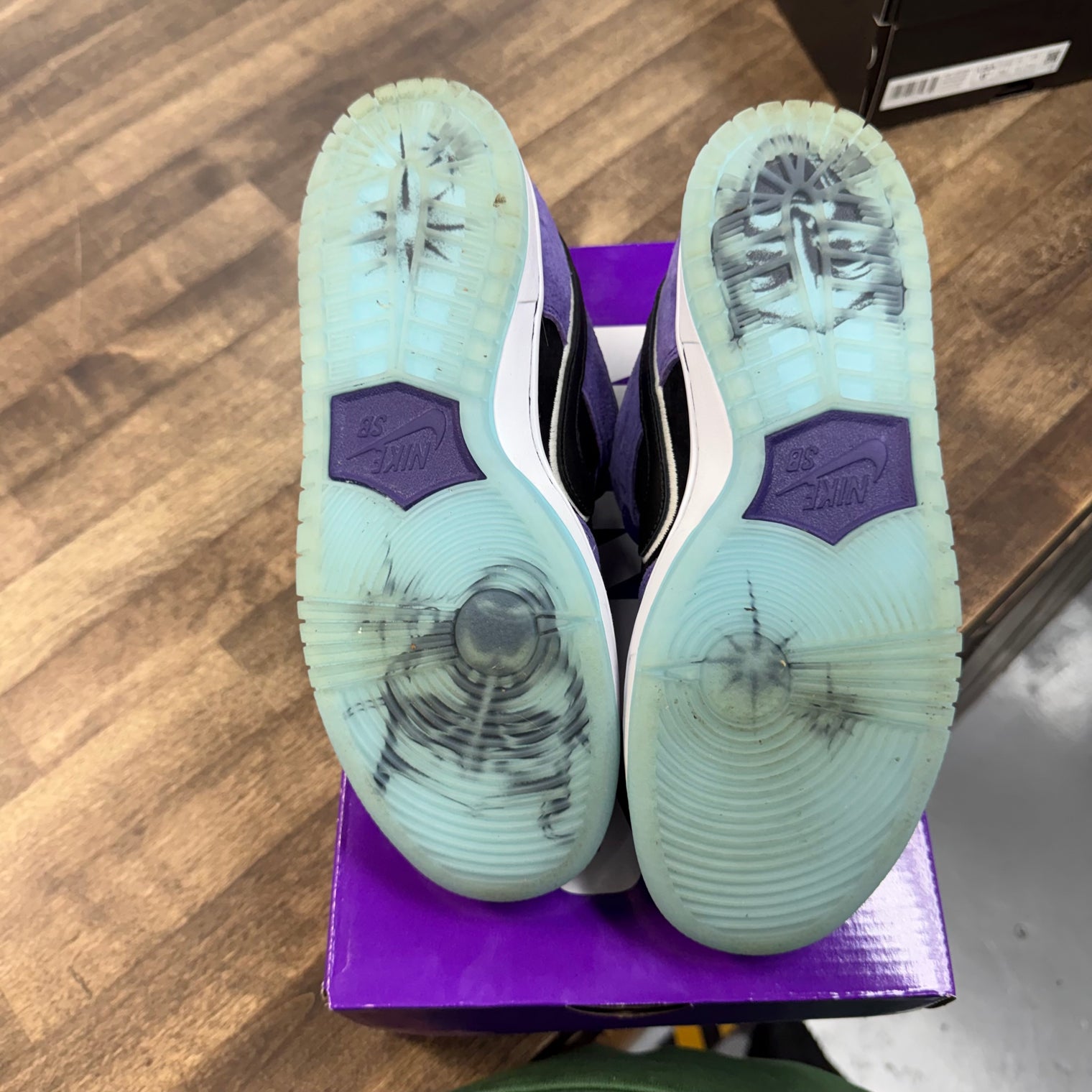 Hayley Wilson Nike SB Dunk Low (USED)