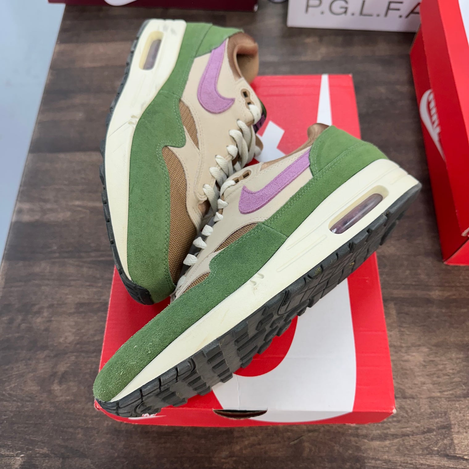 Tree Line Air Max 1 (USED)