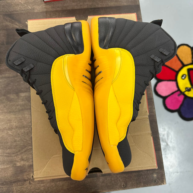 University Gold Jordan 12 Retro (Used)