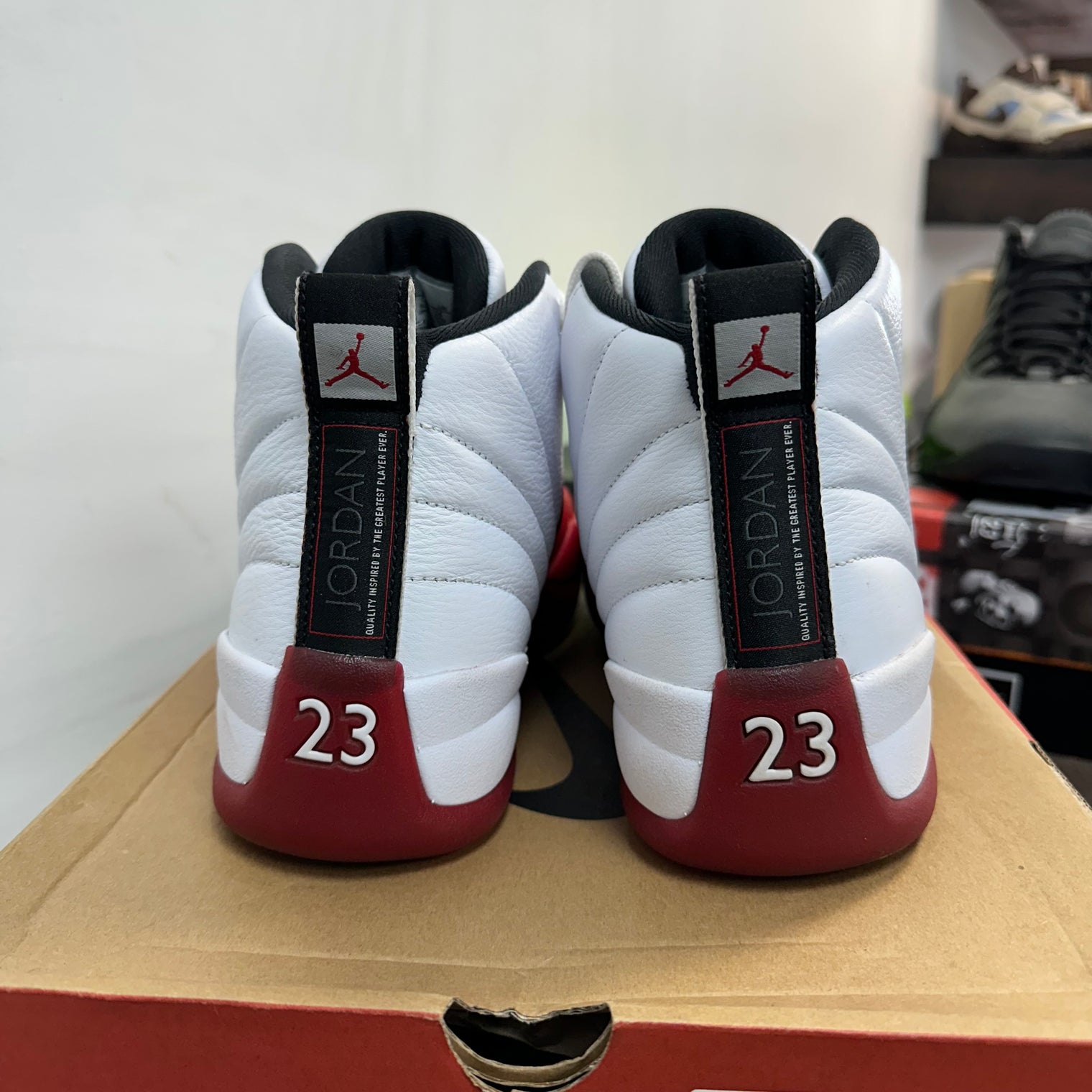 Cherry Jordan 12 Retro (USED)