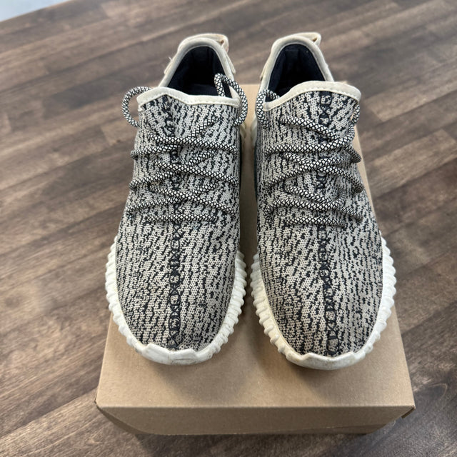 Turtle Dove Yeezy 350 (USED, No Box)
