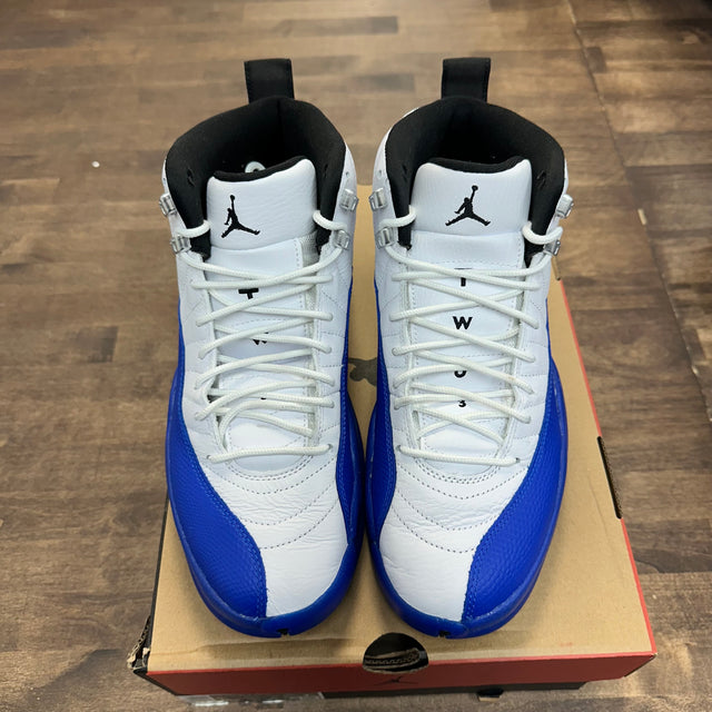 Blueberry Jordan 12 (USED)