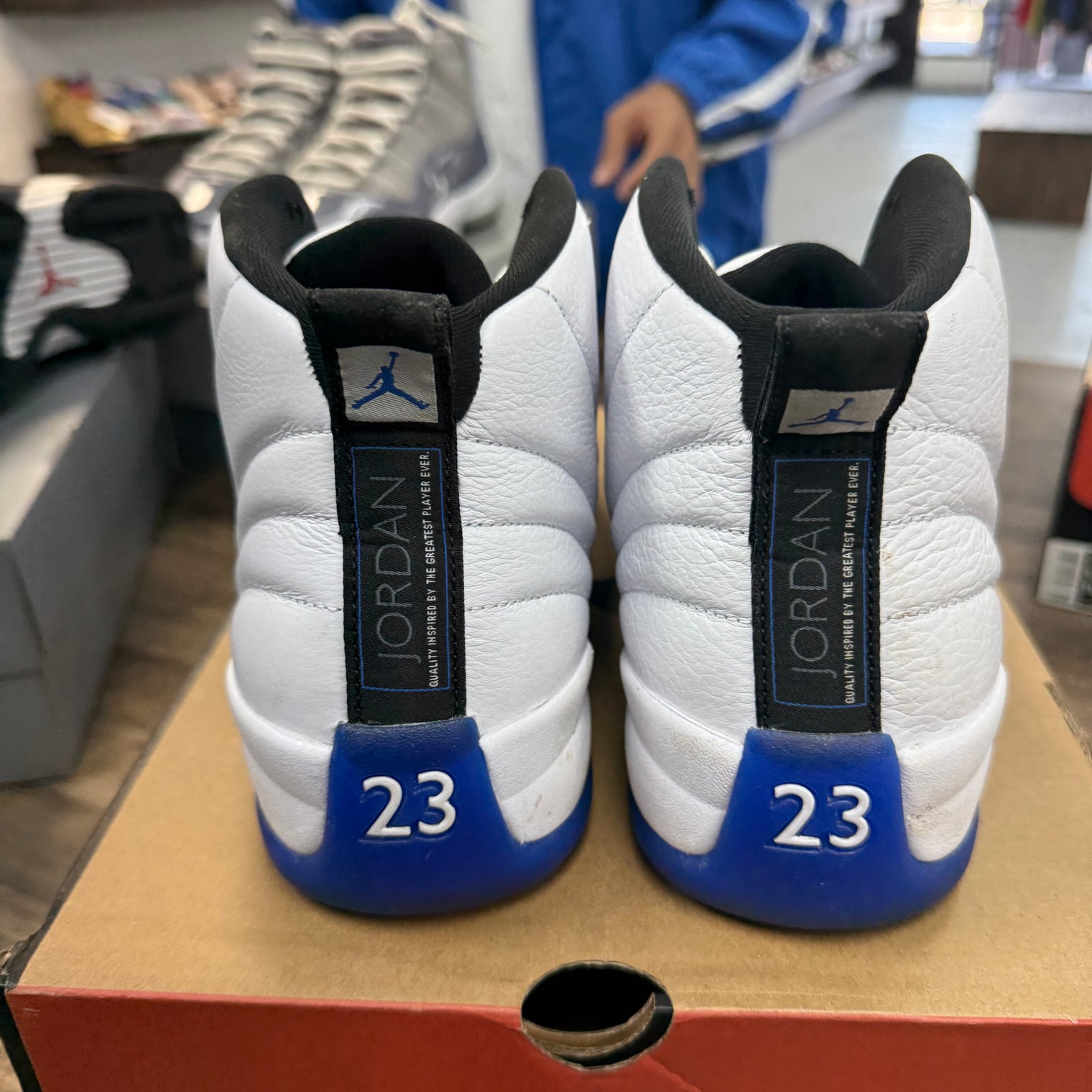 Blueberry Jordan 12 Retro (USED)