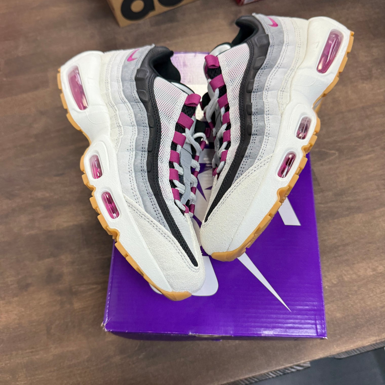 Cactus Flower Air Max 95 SB (USED)