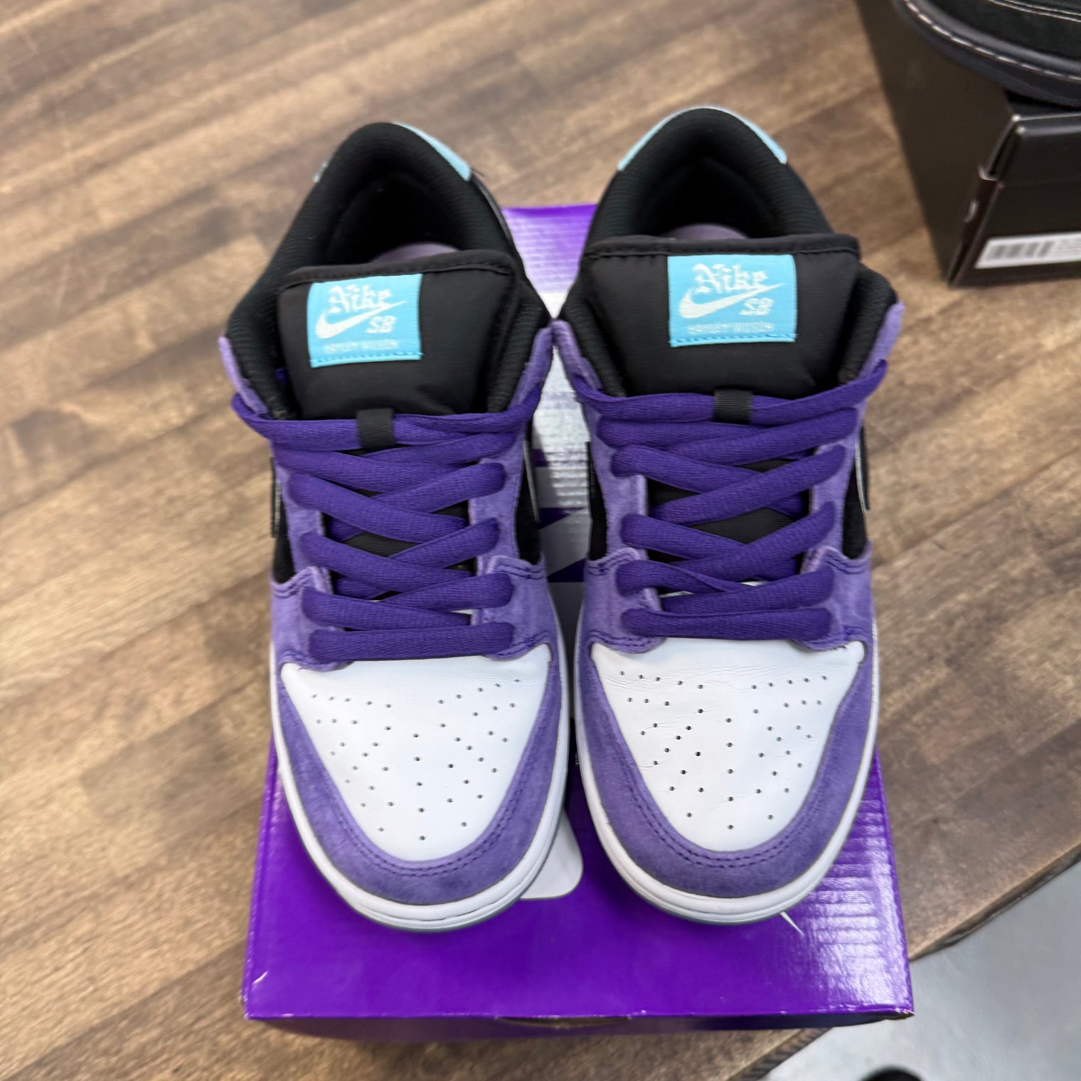 Hayley Wilson Nike SB Dunk Low (USED)