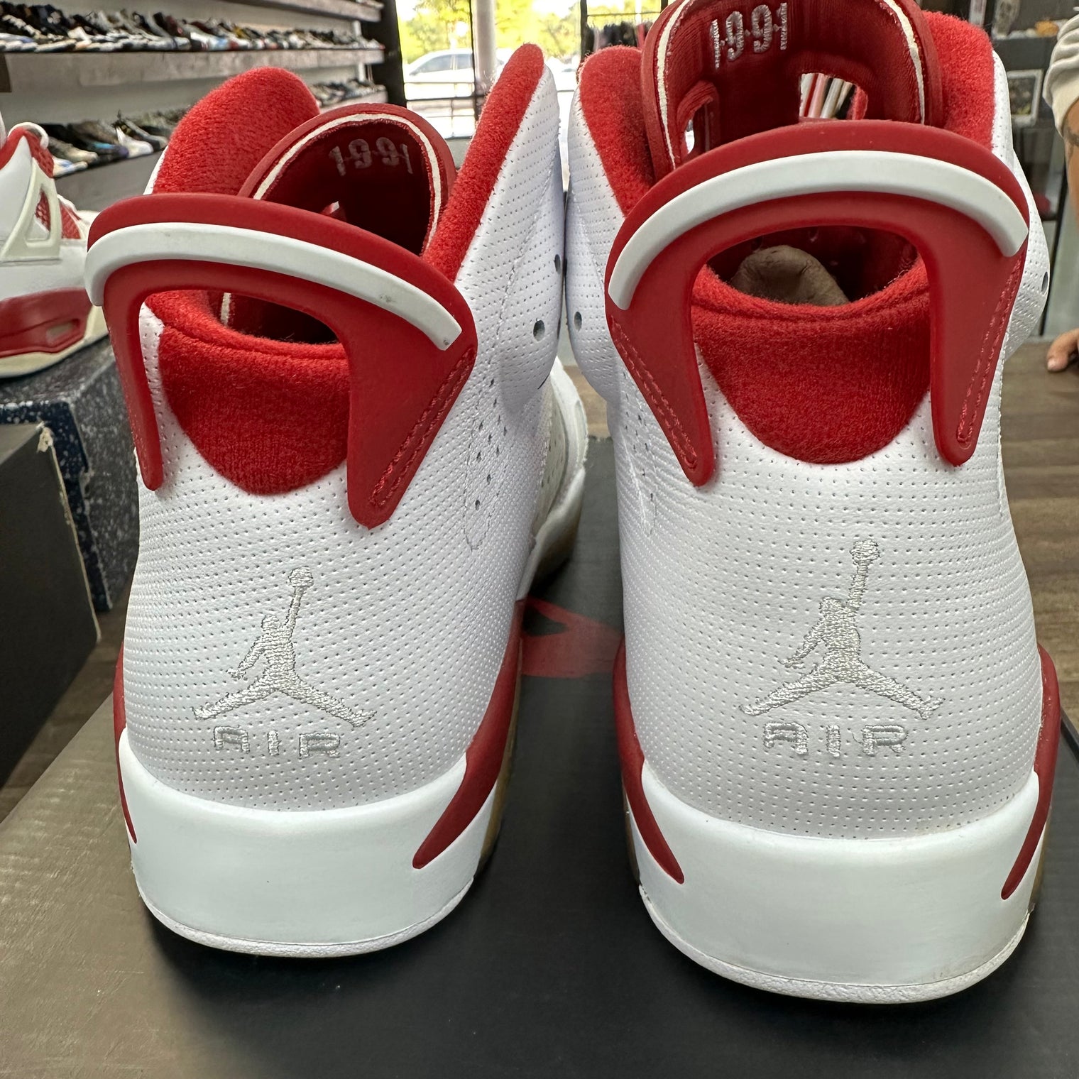 Hare Jordan 6 Retro (Used)
