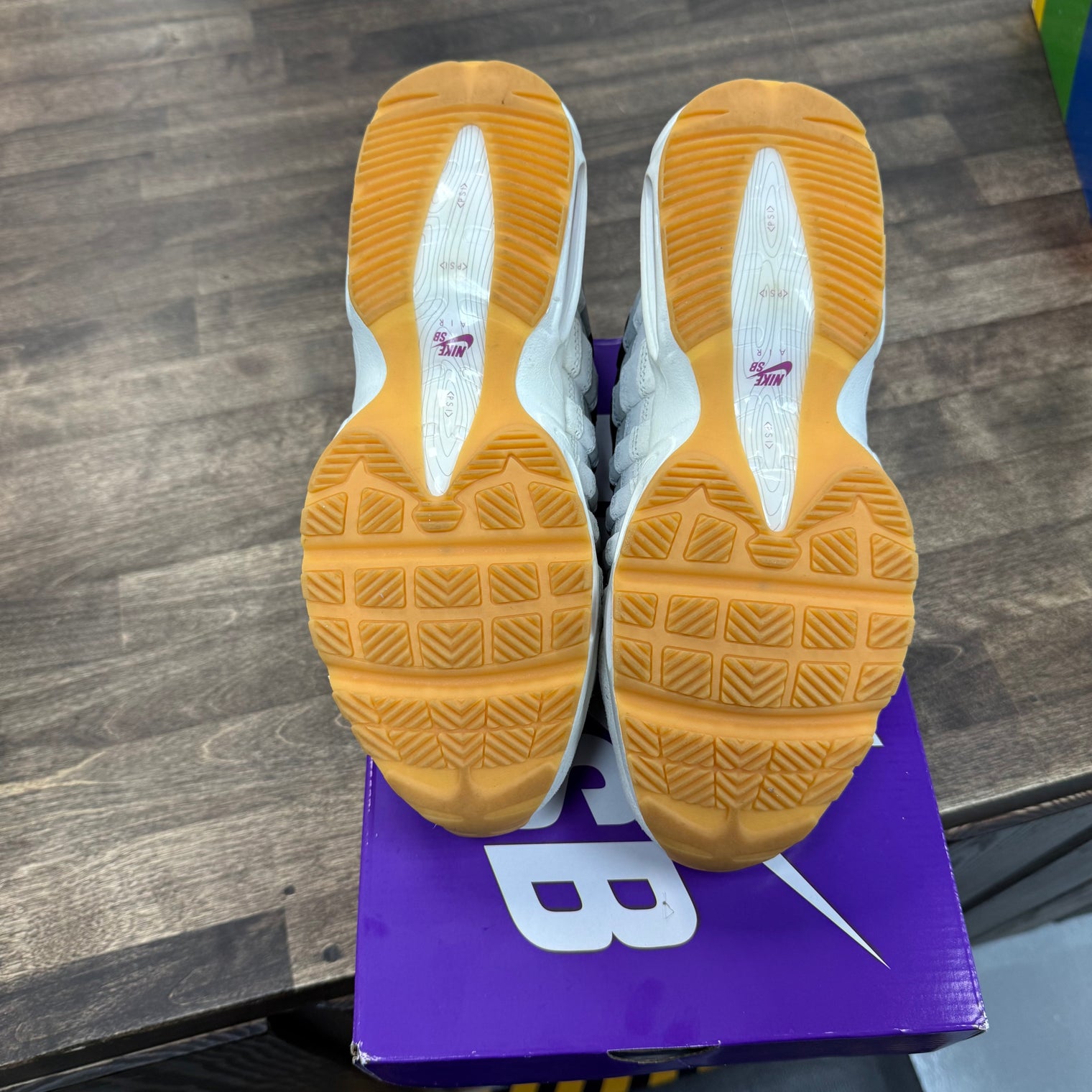 Cactus Flower Nike Air Max 95 SB (USED)