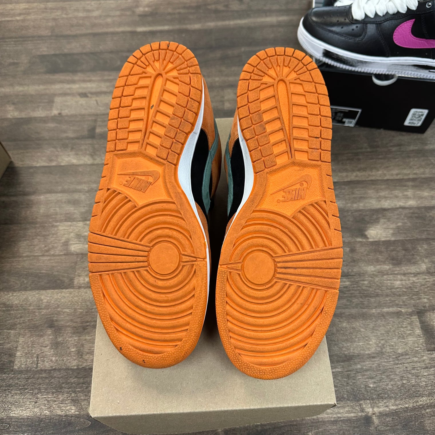 Ceramic Dunk Low (USED, No Box)