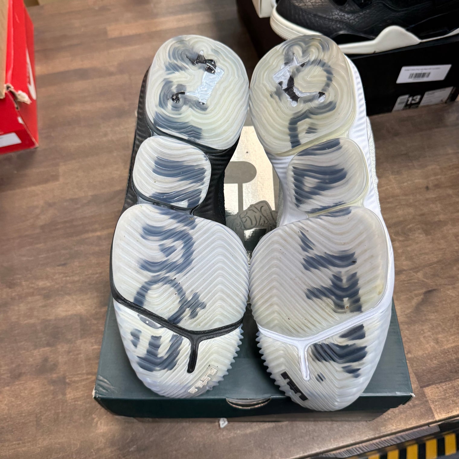 Equality Away Nike LeBron 16 (Used)