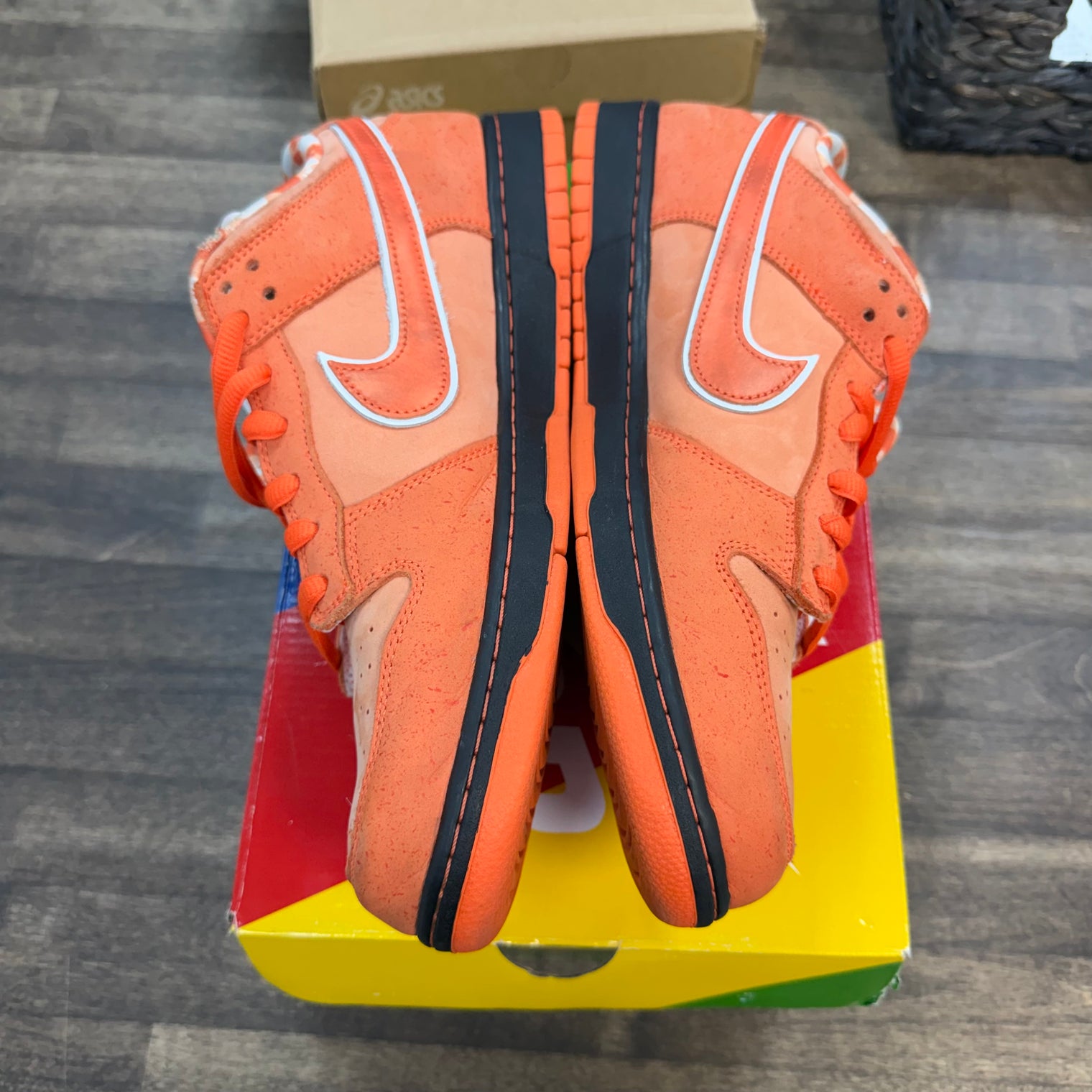 Orange Lobster SB Dunk Low (USED)