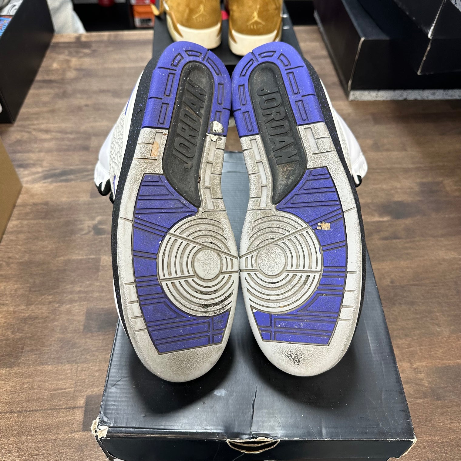 Dark Concord Jordan 2 Retro (USED)