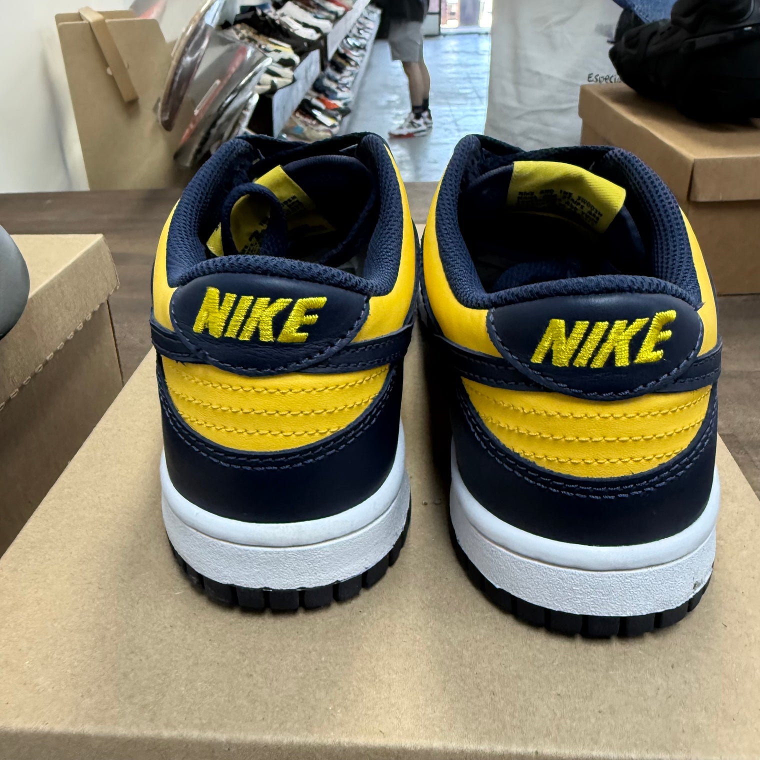 Michigan Dunk Low (Used, No Box)