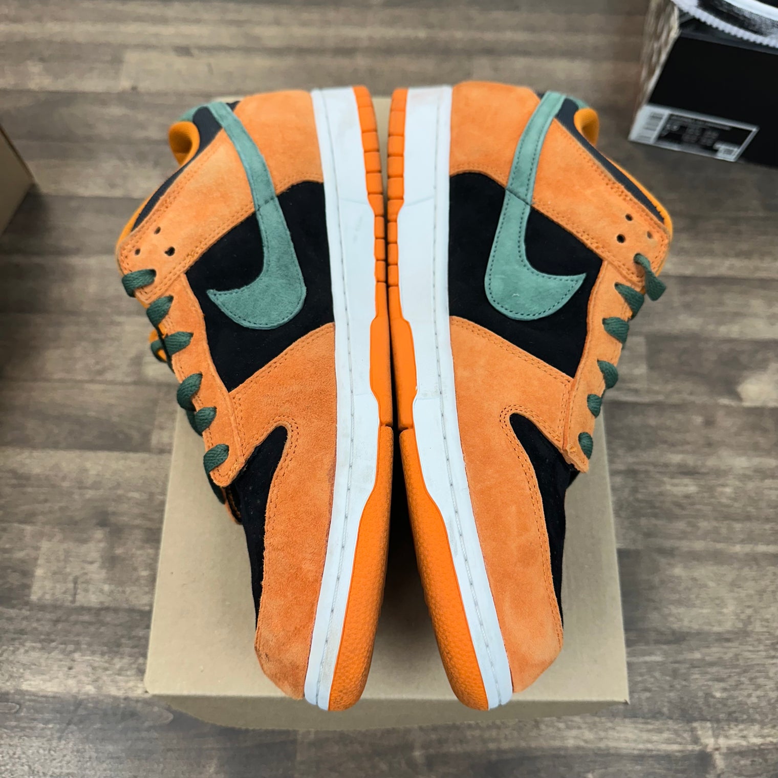 Ceramic Dunk Low (USED, No Box)