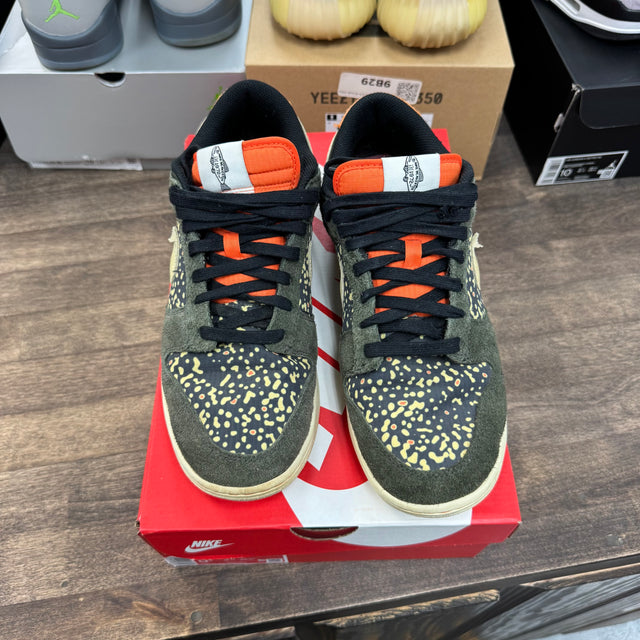 Gone Fishing Rainbow Trout Dunk Low SE (USED)