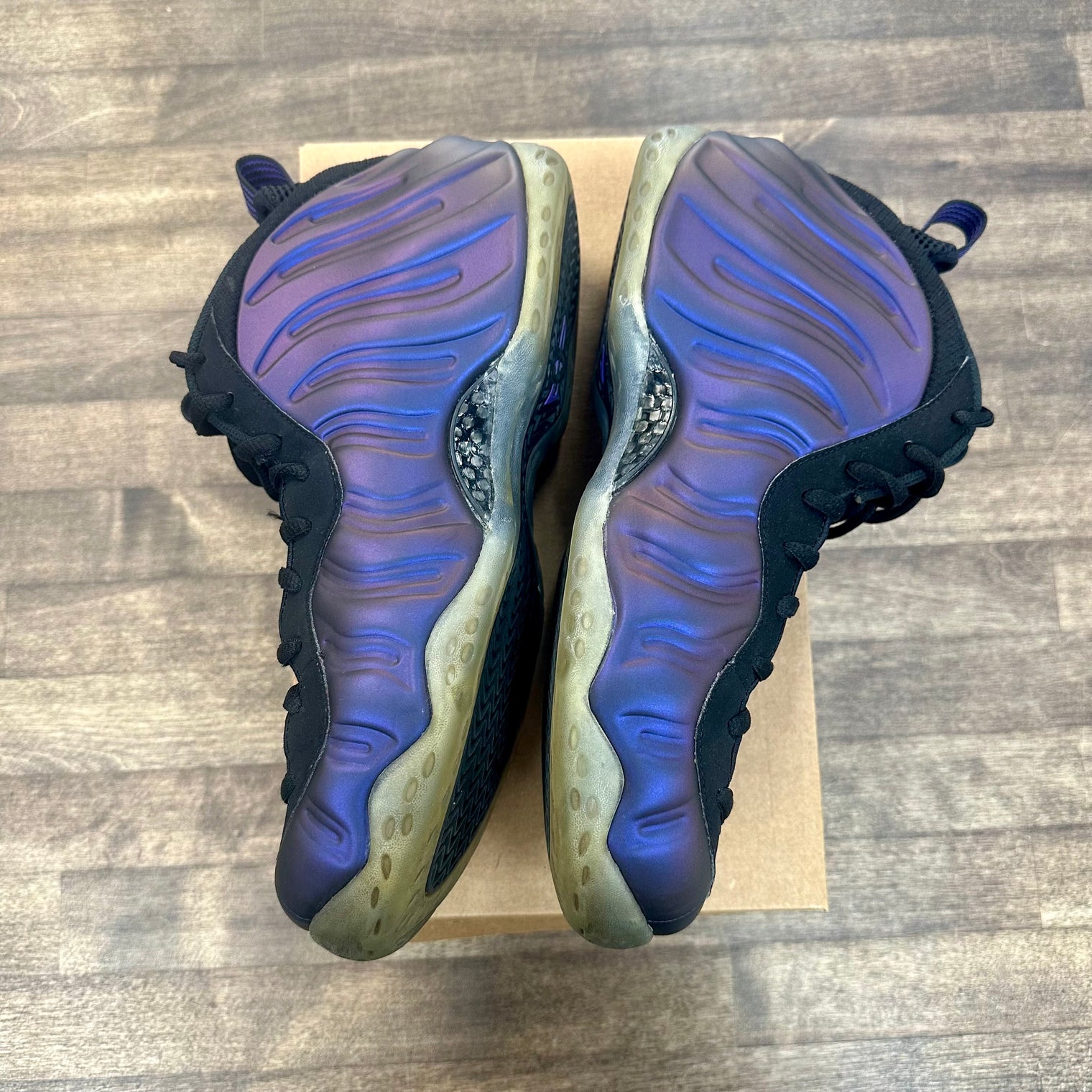 Eggplant Foamposite One (USED, No Box)