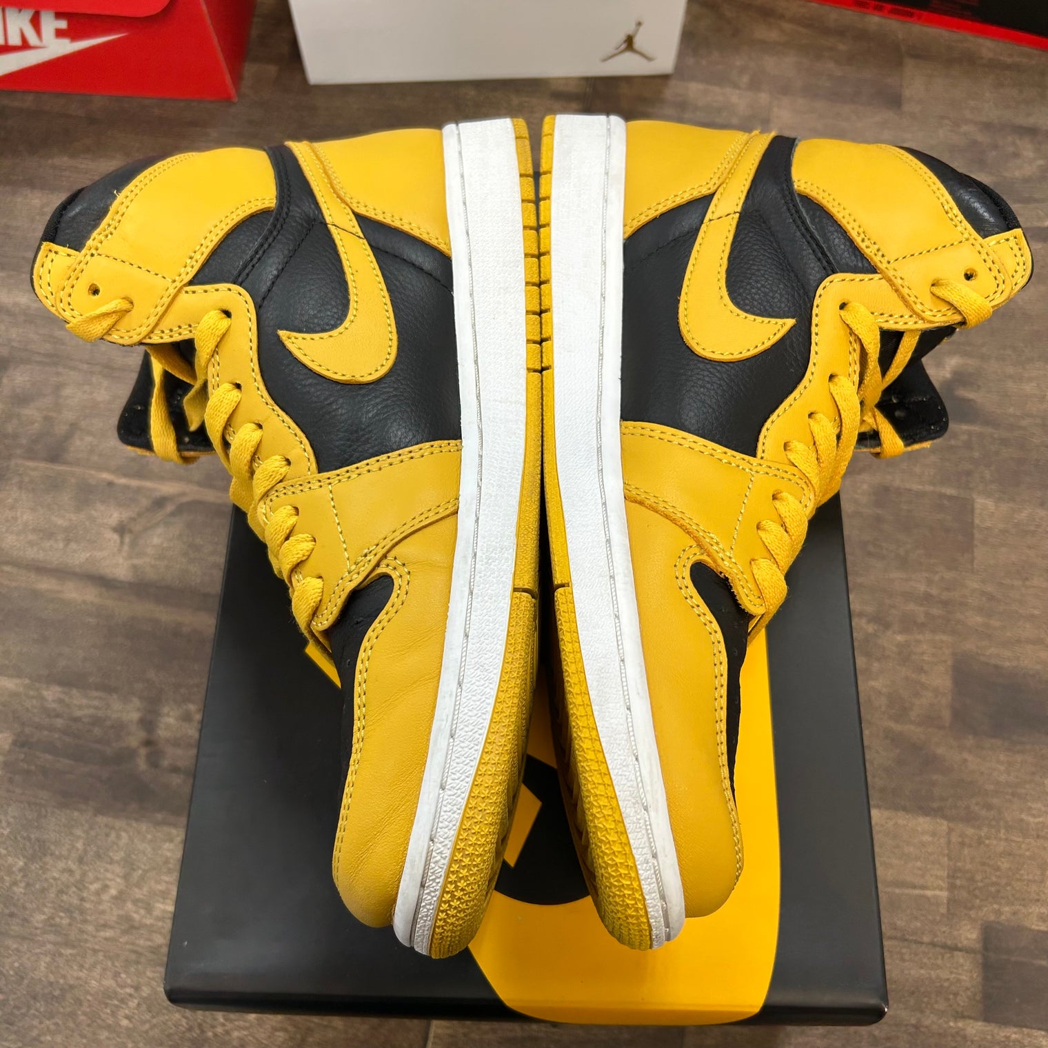 Pollen Jordan 1 High (USED)
