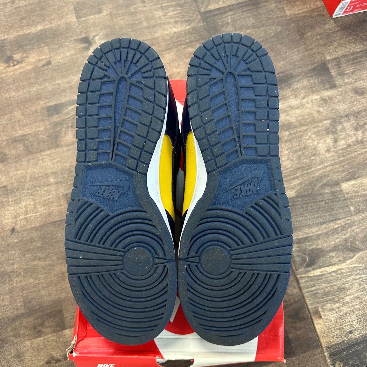 Michigan Dunk Low (2021) (USED)