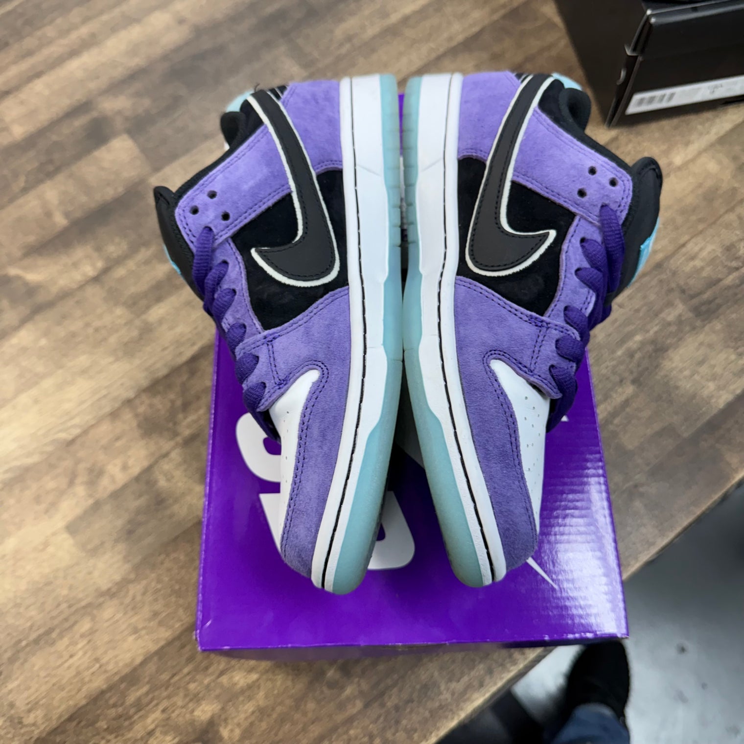 Hayley Wilson Nike SB Dunk Low (USED)