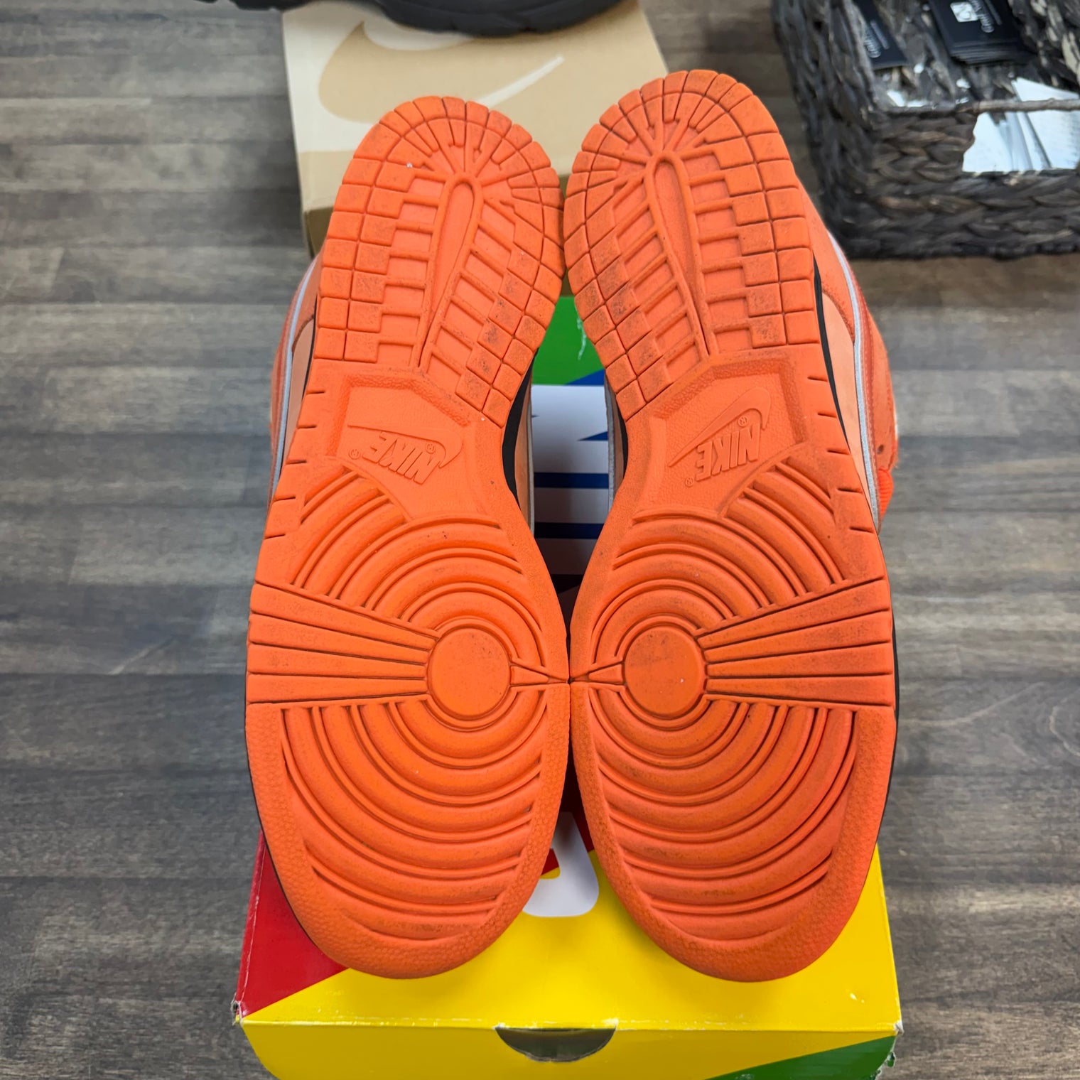Orange Lobster SB Dunk Low (USED)