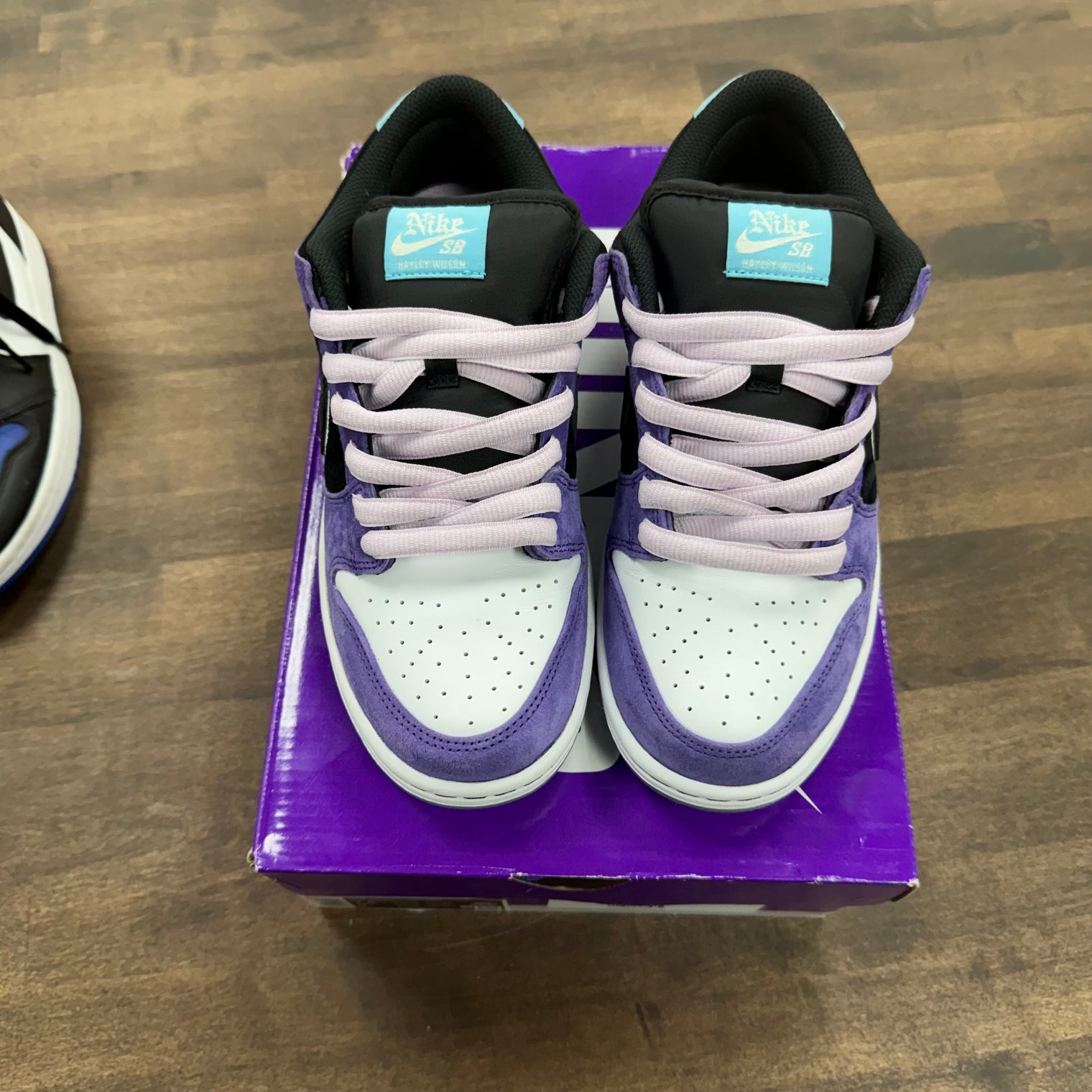 Hayley Wilson Nike SB Dunk Low (USED)
