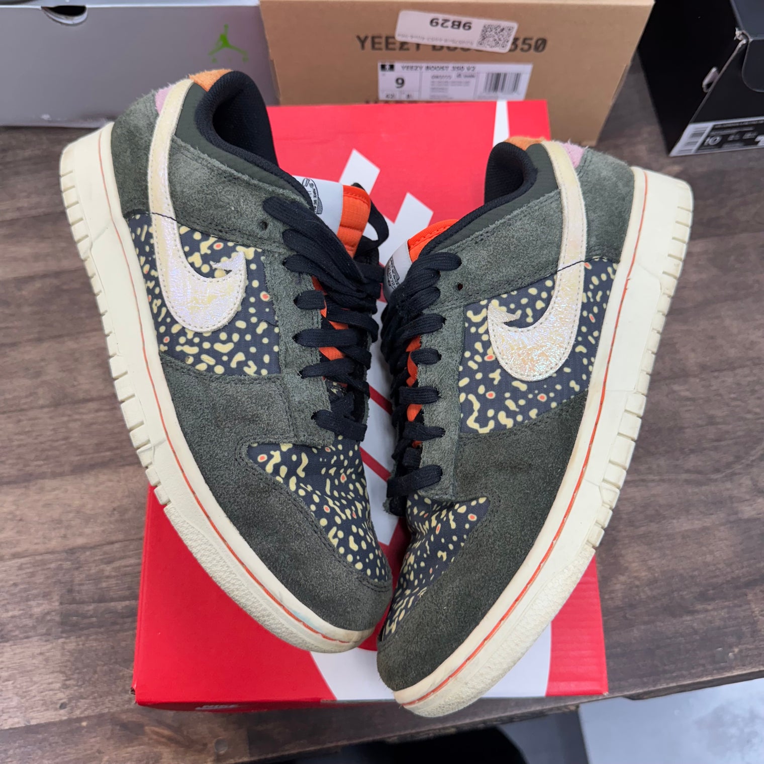 Gone Fishing Rainbow Trout Dunk Low SE (USED)