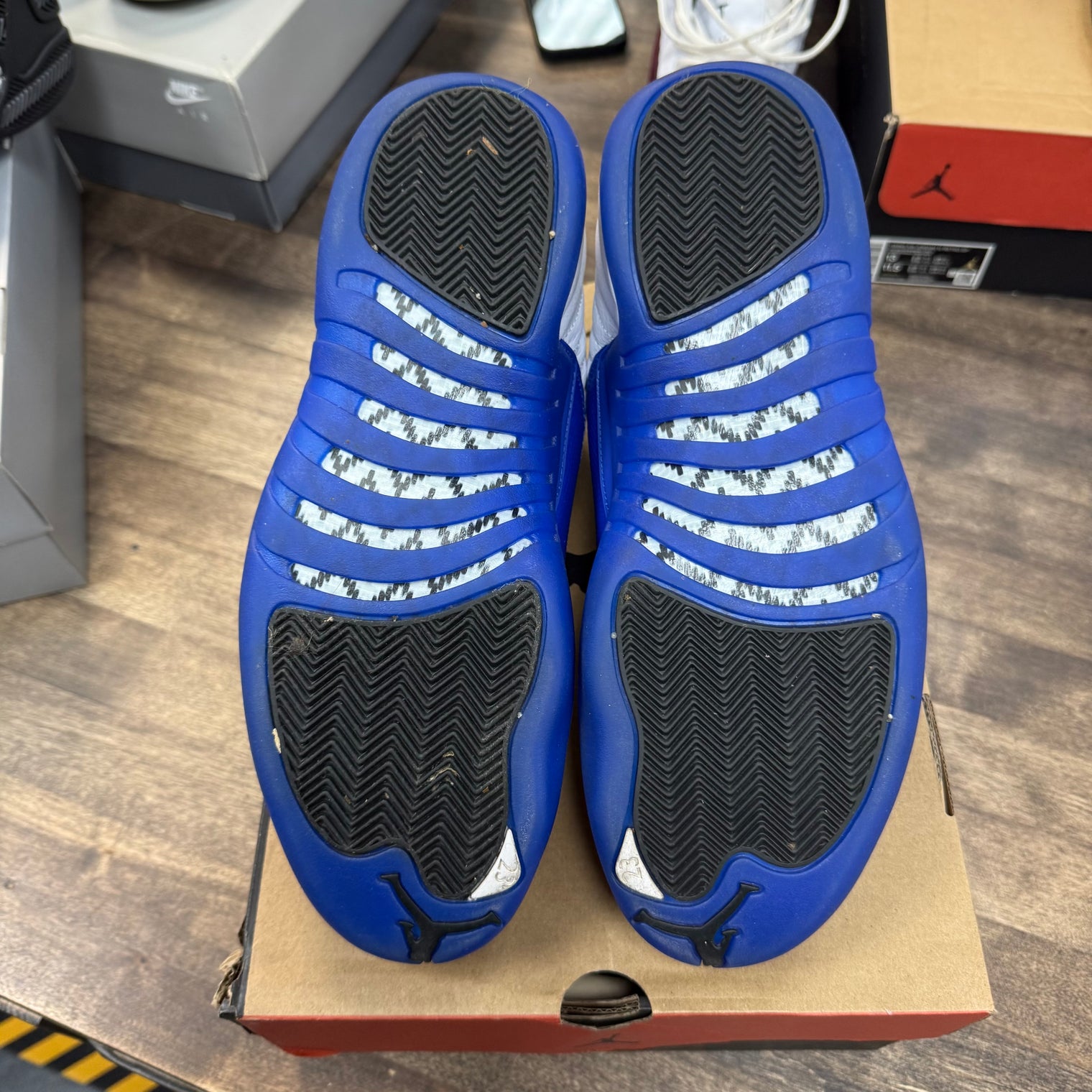 Blueberry Jordan 12 Retro (USED)