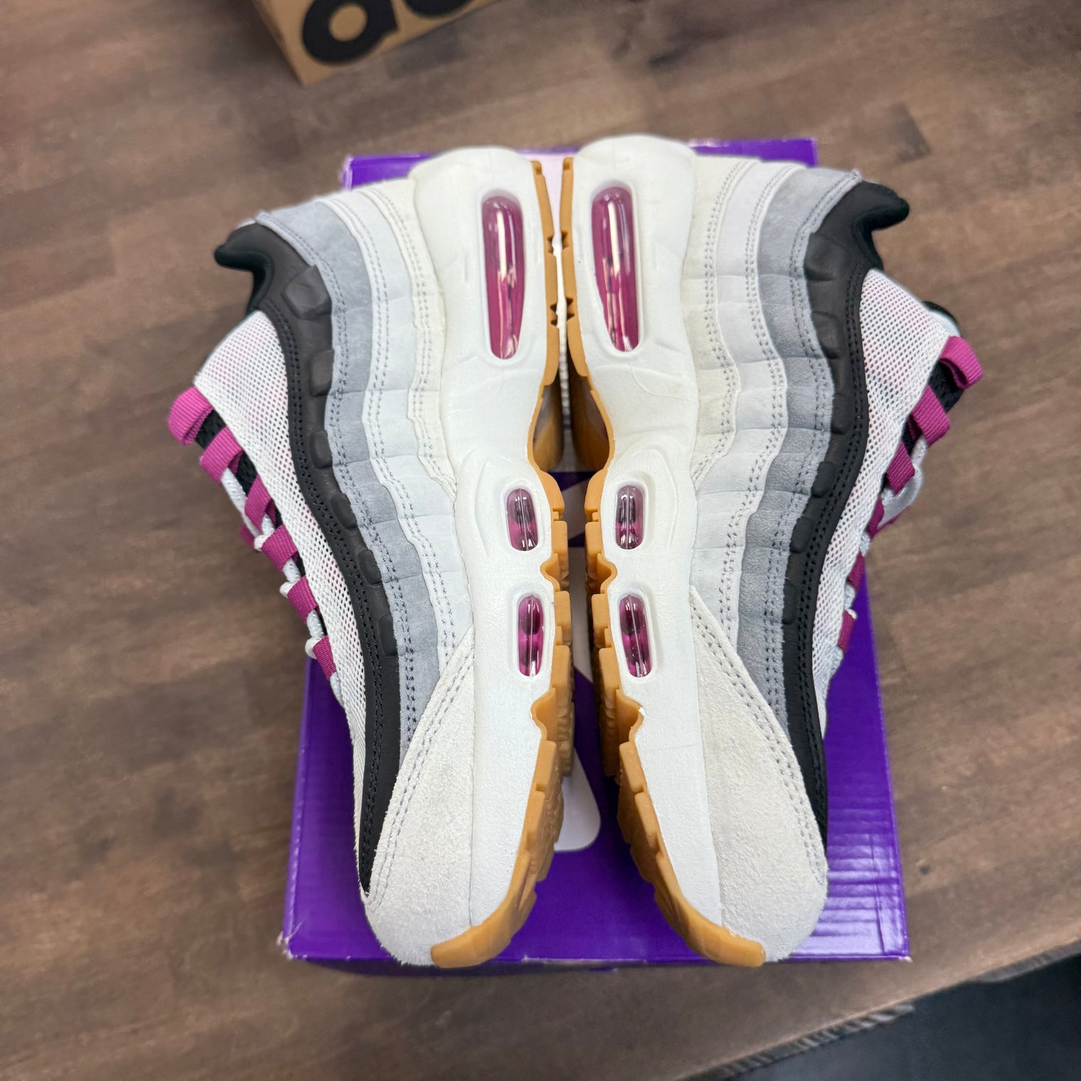 Cactus Flower Air Max 95 SB (USED)