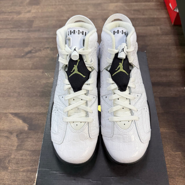 Alligator Jordan 6 Retro (GS) (USED)