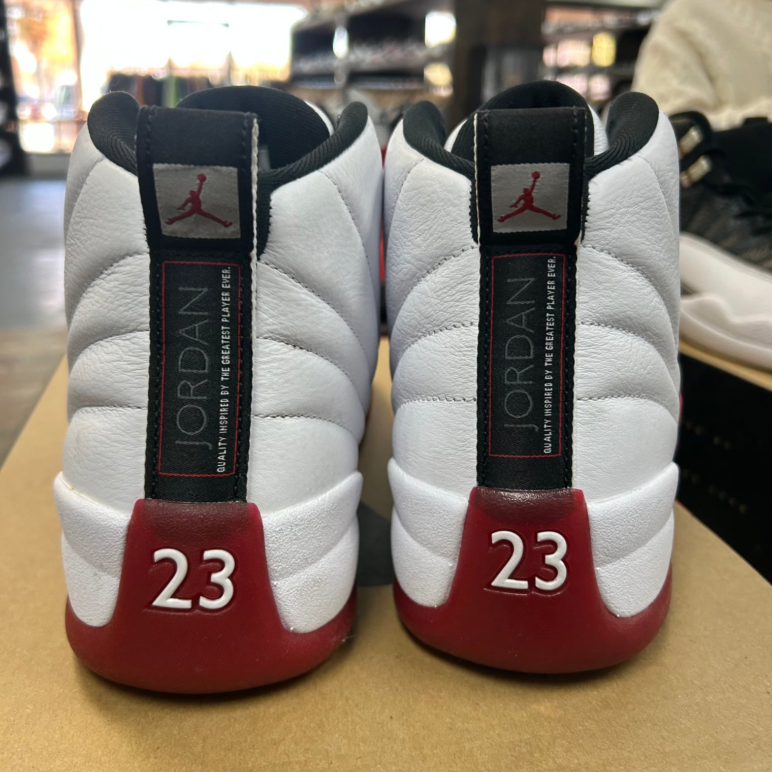 Cherry Jordan 12 (2023) (USED)
