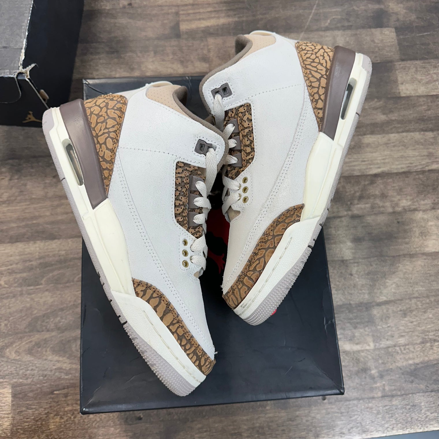 Palomino Jordan 3 Retro (GS) (USED)