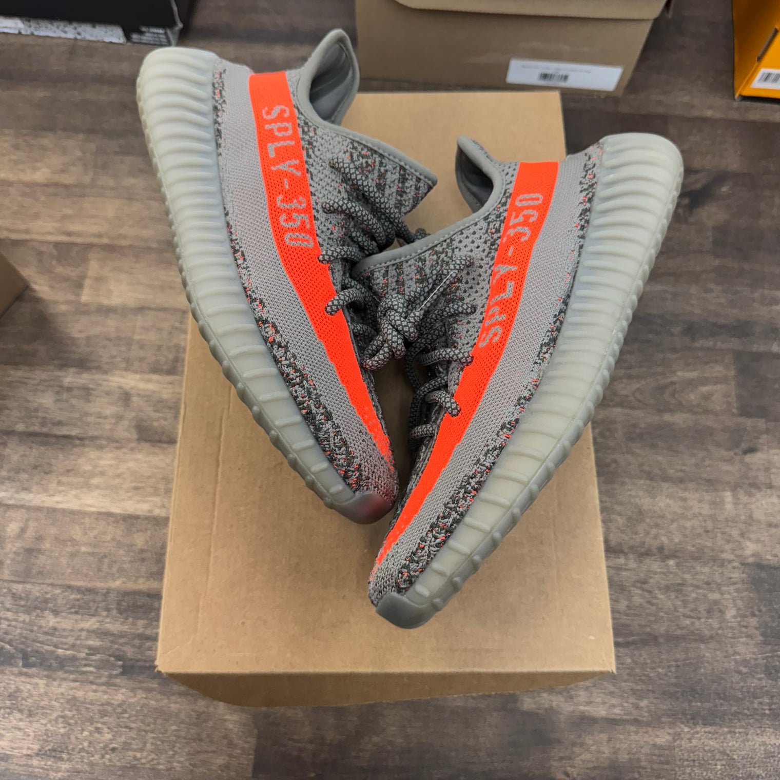 Beluga Yeezy 350 (USED,No Box)