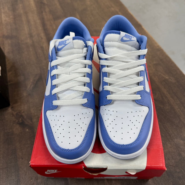 Polar Blue Nike Dunk Low (USED)